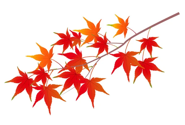 Musim Gugur Meninggalkan Ikon Daun Maple - Stok Vektor