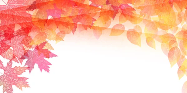 Φθινόπωρο Αφήνει Φόντο Του Δένδρου Σφενδάμου — Διανυσματικό Αρχείο