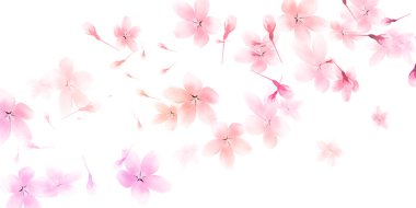 Kiraz çiçekleri Japon desenli bahar arkaplanı