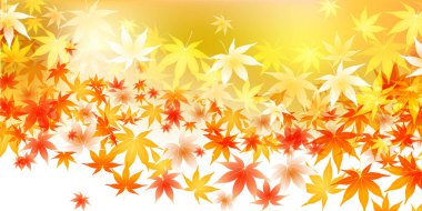 Sonbahar Akçaağaç Ağaç Yaprakları Sonbahar Arkaplanı