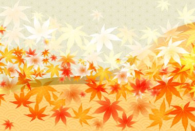 Sonbahar Akçaağaç Ağaç Yaprakları Sonbahar Arkaplanı