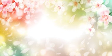 Kiraz çiçekleri Japon desenli bahar arkaplanı