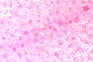 Kiraz çiçekleri Japon desenli bahar arkaplanı