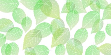 Taze yeşil yaprakları manzara arka plan