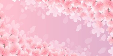 Kiraz Çiçekleri Bahar Taç Arkaplanı