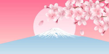 Fuji Kiraz Çiçekleri Bahar Çiçekleri Arkaplanı