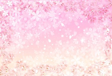 Kiraz Çiçekleri Bahar Taç Arkaplanı