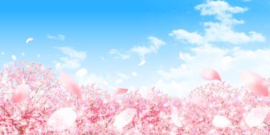 Kiraz Çiçekleri Peyzajı Bahar Arkaplanı