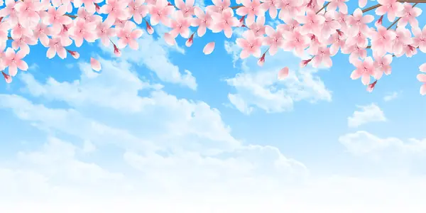 Kirschblüten Landschaft Frühling Hintergrund Vektorgrafiken
