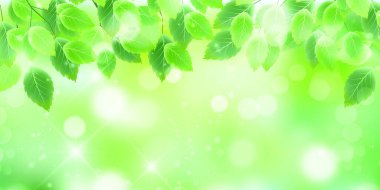 Taze yeşil yaprakları manzara arka plan