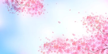 Kiraz Çiçekleri Bahar Taç Arkaplanı