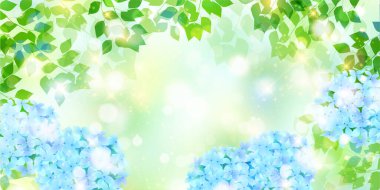 Ortanca yağmurlu mevsimlik çiçek arkaplanı