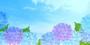 Ortanca yağmurlu mevsimlik çiçek arkaplanı