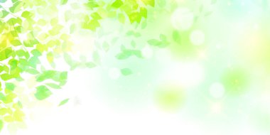 Taze yeşil yaprakları manzara arka plan