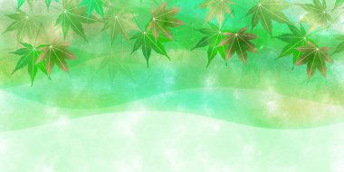 taze yeşil yaprak akçaağaç arka planı