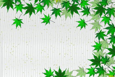 taze yeşil yaprak akçaağaç arka planı