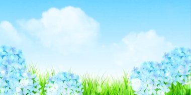 Ortanca yağmurlu mevsimlik çiçek arkaplanı