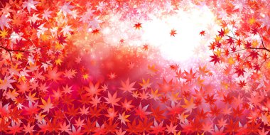 Sonbahar yaprakları sonbahar arka plan bırakır