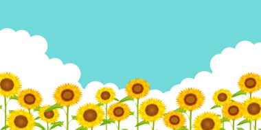 Ayçiçeği Yaz Manzarası Arkaplanı