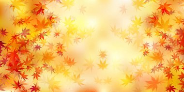 Sonbahar yaprakları sonbahar arka plan bırakır