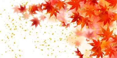 Sonbahar yaprakları sonbahar arka plan bırakır