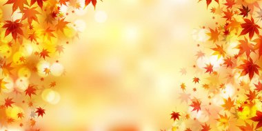 Sonbahar yaprakları sonbahar arka plan bırakır