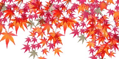 Sonbahar yaprakları sonbahar arka plan bırakır