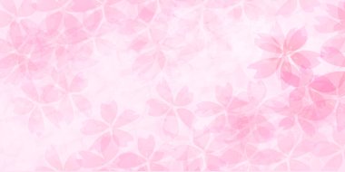 Kiraz çiçeği bahar pembe arka plan