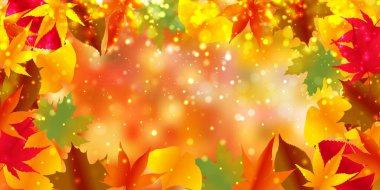 Sonbahar yaprakları sonbahar arka plan bırakır