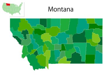 Montana ABD Haritası Yeşil Simge