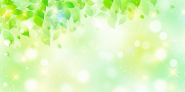 Taze yeşil yaprakları manzara arka plan