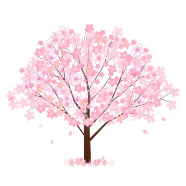 Kiraz çiçeği bahar çiçeği ikonu