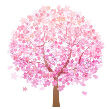 Kiraz çiçeği bahar çiçeği ikonu