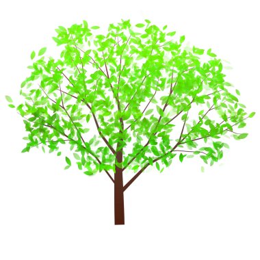 taze yeşil yaprak doğa simgesi