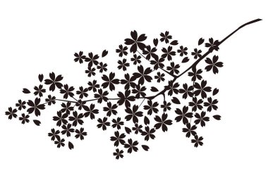 kiraz çiçeği silueti bahar çiçeği ikonu