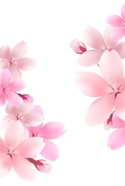 kiraz çiçeği Japon kağıt desenli arka plan