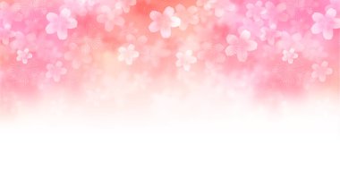 kiraz çiçeği Japon kağıt desenli arka plan