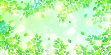 Taze yeşil yaprakları manzara arka plan