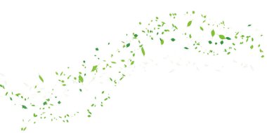 Taze yeşil yaprakları manzara arka plan