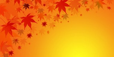 Sonbahar Akçaağaç Ağaç Yaprakları Sonbahar Arkaplanı