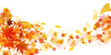 Sonbahar Akçaağaç Ağaç Yaprakları Sonbahar Arkaplanı