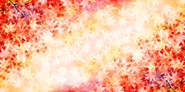 Sonbahar Akçaağaç Ağaç Yaprakları Sonbahar Arkaplanı