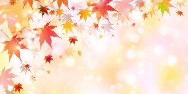 Sonbahar Akçaağaç Ağaç Yaprakları Sonbahar Arkaplanı