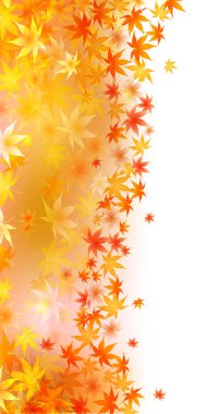 Sonbahar Akçaağaç Ağaç Yaprakları Sonbahar Arkaplanı