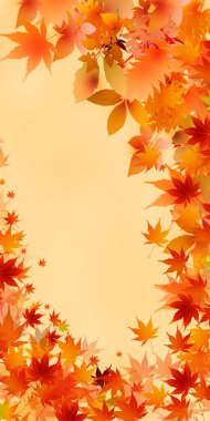 Sonbahar Akçaağaç Ağaç Yaprakları Sonbahar Arkaplanı