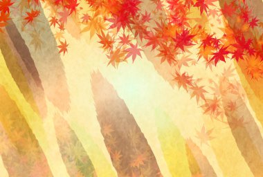 Sonbahar Akçaağaç Ağaç Yaprakları Sonbahar Arkaplanı