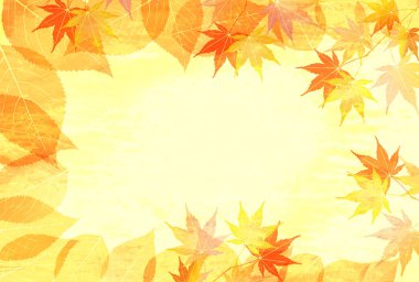 Sonbahar Akçaağaç Ağaç Yaprakları Sonbahar Arkaplanı