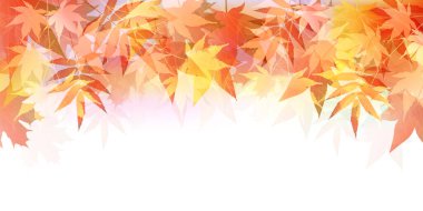 Sonbahar Akçaağaç Ağaç Yaprakları Sonbahar Arkaplanı