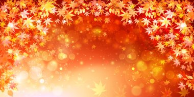 Sonbahar Akçaağaç Ağaç Yaprakları Sonbahar Arkaplanı