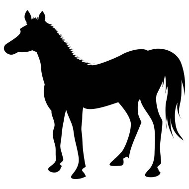 Öğlen Kartı Siluet Simgesi